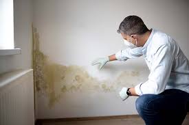 Best Mold Prevention Services  in Kenmore, WA